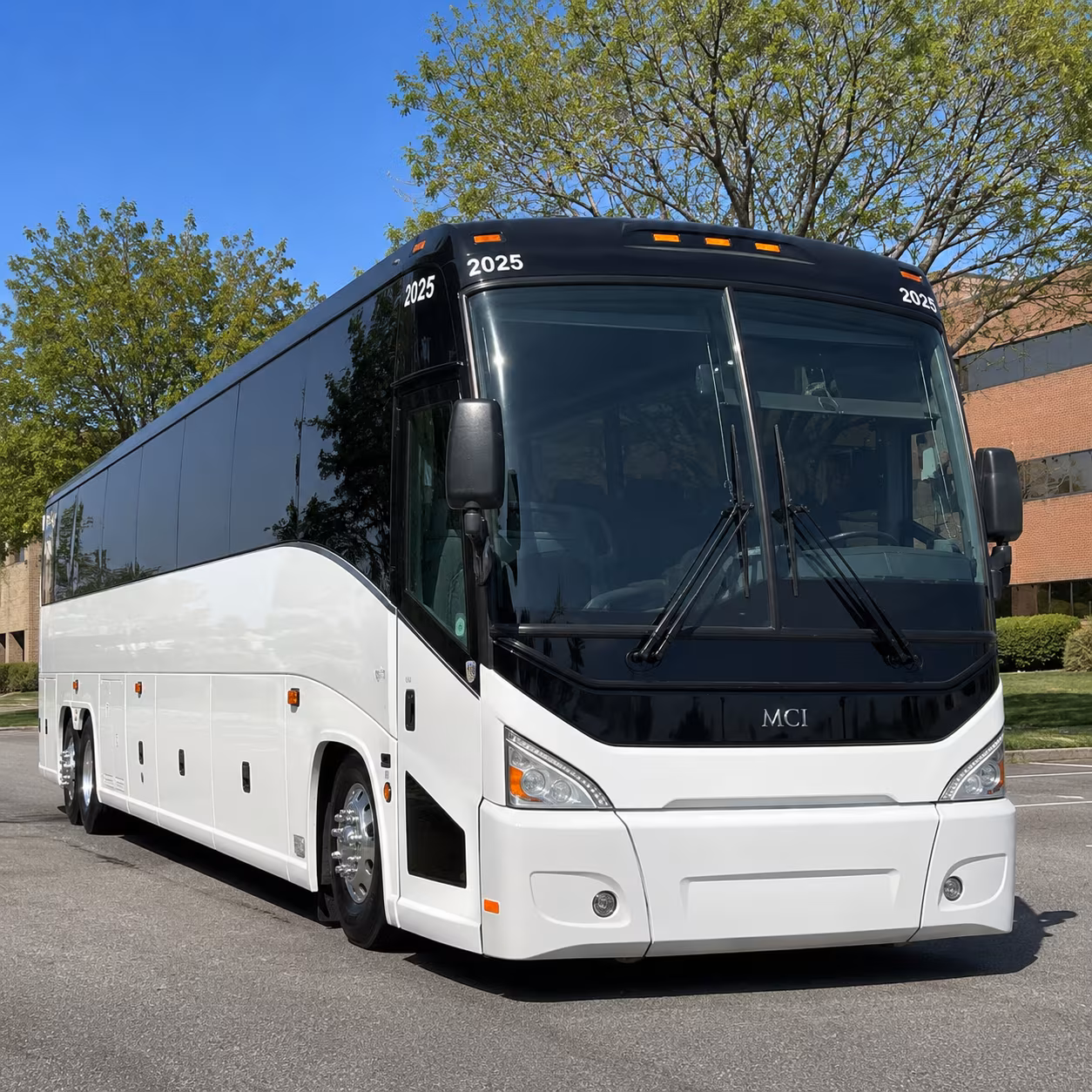 buses for red rocks and dinosaur ridge science field trips
